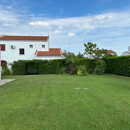 Y2 In Arena Regia - Adults Only-14 And Above- No Parties Allowed *